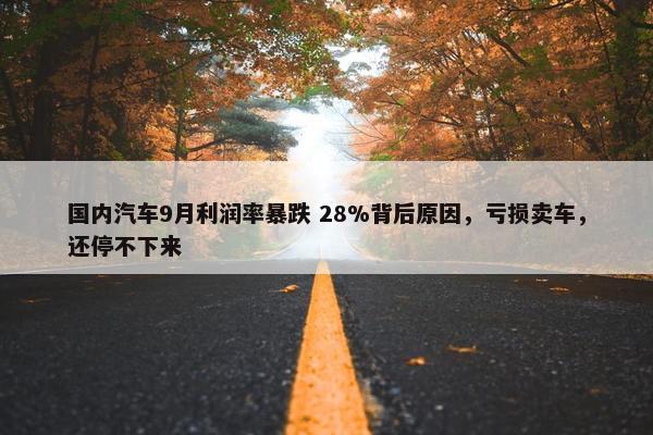 国内汽车9月利润率暴跌 28%背后原因，亏损卖车，还停不下来