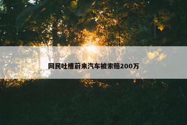 网民吐槽蔚来汽车被索赔200万