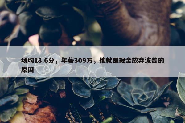 场均18.6分，年薪309万，他就是掘金放弃波普的原因