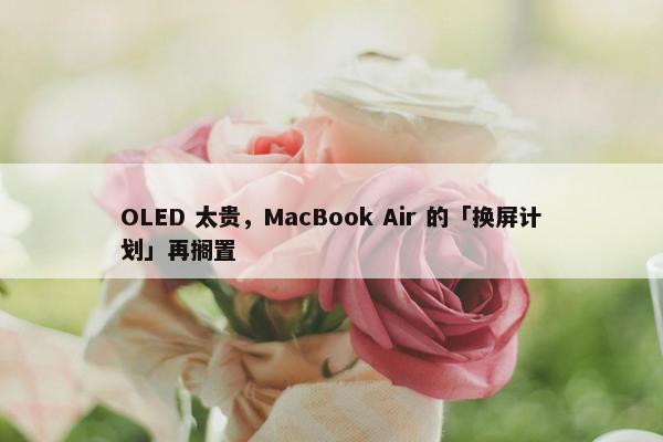 OLED 太贵，MacBook Air 的「换屏计划」再搁置