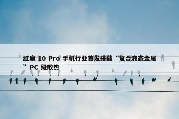 红魔 10 Pro 手机行业首发搭载“复合液态金属”PC 级散热