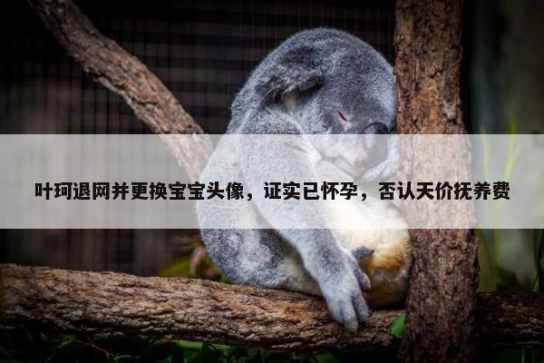 叶珂退网并更换宝宝头像，证实已怀孕，否认天价抚养费