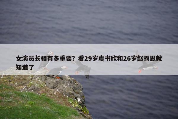 女演员长相有多重要？看29岁虞书欣和26岁赵露思就知道了