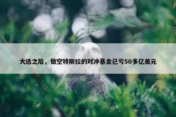 大选之后，做空特斯拉的对冲基金已亏50多亿美元