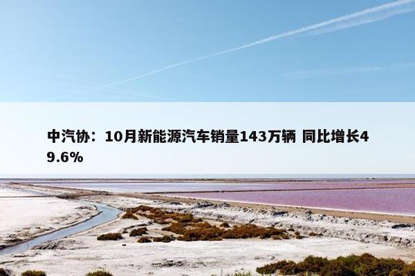 中汽协：10月新能源汽车销量143万辆 同比增长49.6%