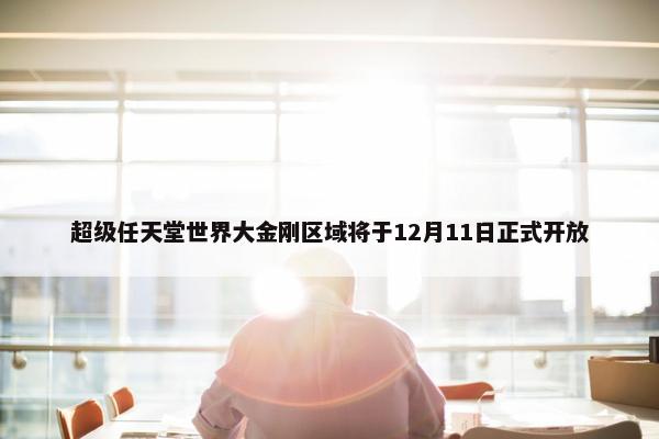 超级任天堂世界大金刚区域将于12月11日正式开放