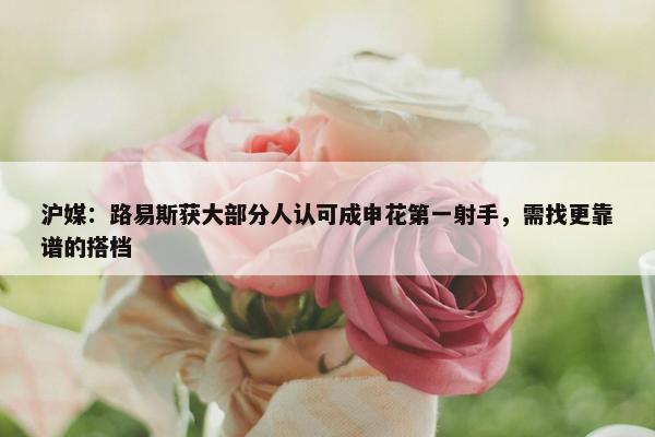 沪媒：路易斯获大部分人认可成申花第一射手，需找更靠谱的搭档