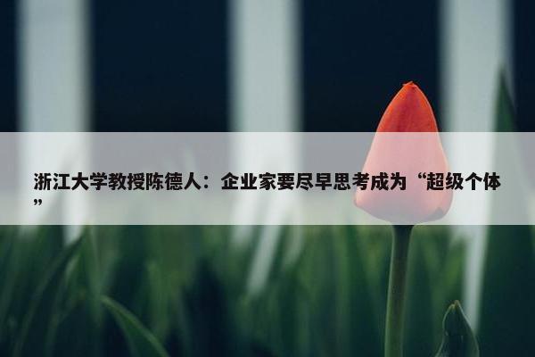 浙江大学教授陈德人：企业家要尽早思考成为“超级个体”