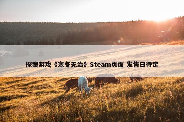 探案游戏《寒冬无治》Steam页面 发售日待定