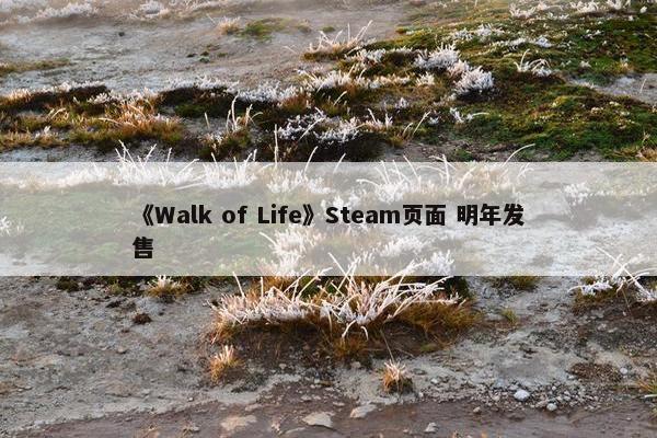 《Walk of Life》Steam页面 明年发售