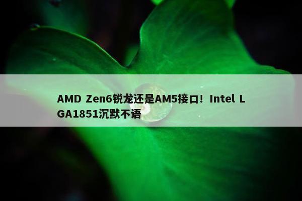 AMD Zen6锐龙还是AM5接口！Intel LGA1851沉默不语