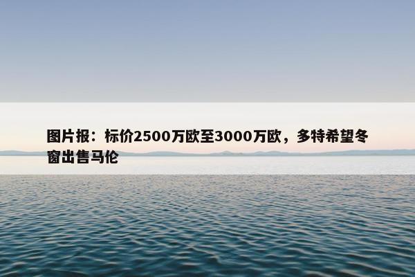 图片报：标价2500万欧至3000万欧，多特希望冬窗出售马伦