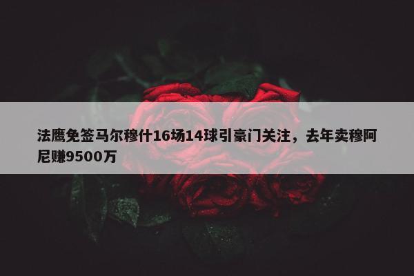 法鹰免签马尔穆什16场14球引豪门关注，去年卖穆阿尼赚9500万