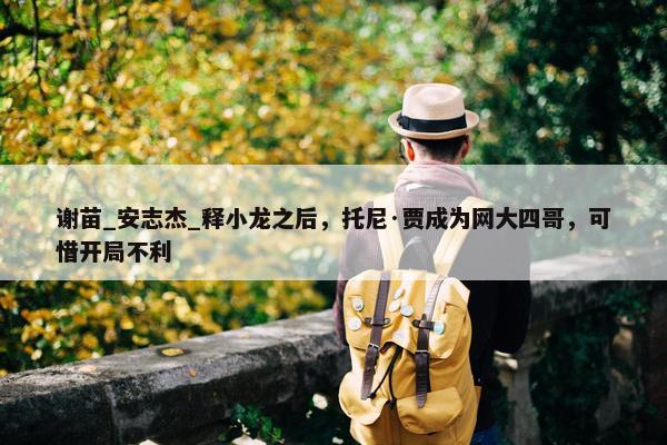 谢苗_安志杰_释小龙之后，托尼·贾成为网大四哥，可惜开局不利