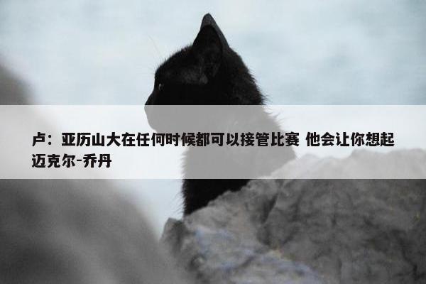 卢：亚历山大在任何时候都可以接管比赛 他会让你想起迈克尔-乔丹