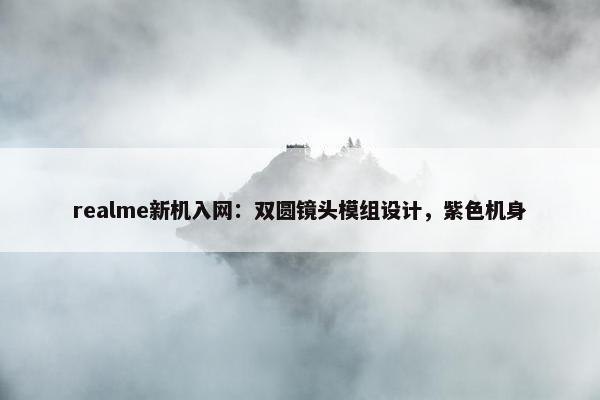 realme新机入网：双圆镜头模组设计，紫色机身