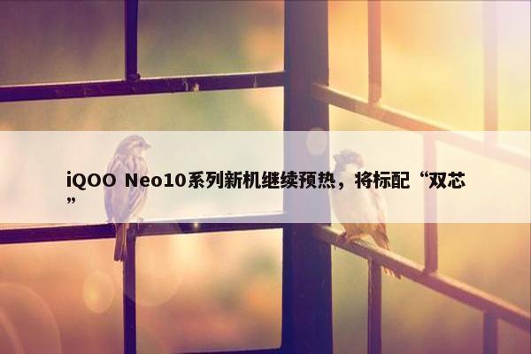 iQOO Neo10系列新机继续预热，将标配“双芯”