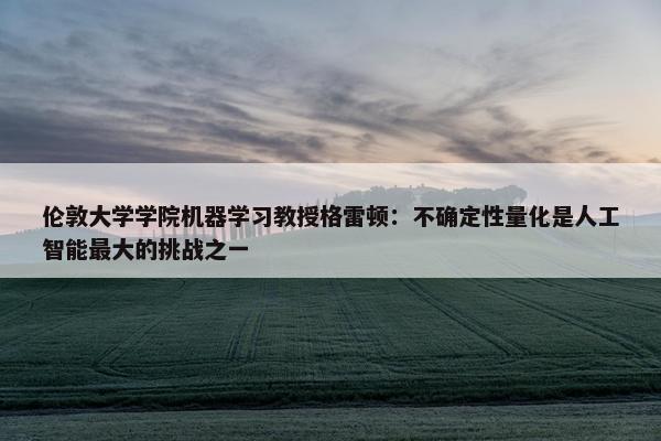 伦敦大学学院机器学习教授格雷顿：不确定性量化是人工智能最大的挑战之一