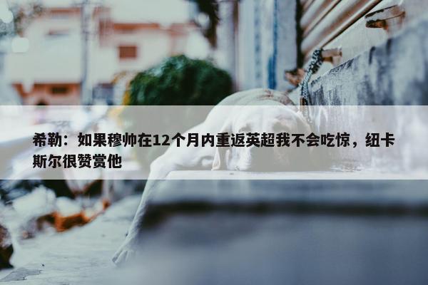 希勒：如果穆帅在12个月内重返英超我不会吃惊，纽卡斯尔很赞赏他