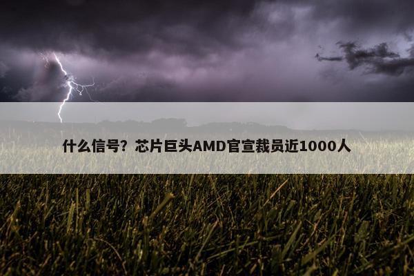 什么信号？芯片巨头AMD官宣裁员近1000人