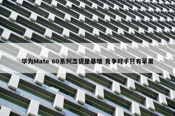 华为Mate 60系列出货量暴增 竞争对手只有苹果