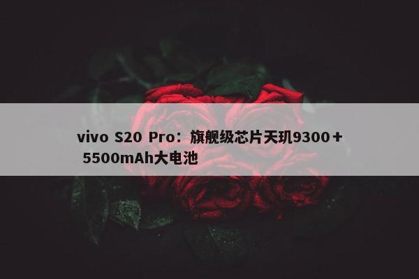 vivo S20 Pro：旗舰级芯片天玑9300＋ 5500mAh大电池