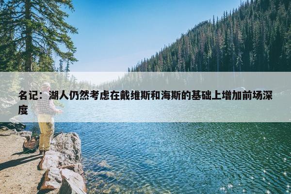 名记：湖人仍然考虑在戴维斯和海斯的基础上增加前场深度