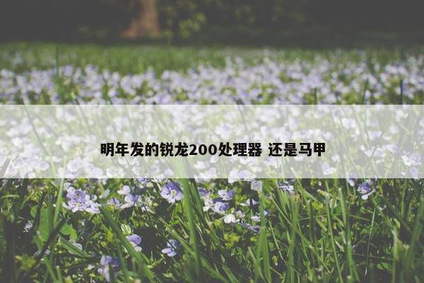 明年发的锐龙200处理器 还是马甲