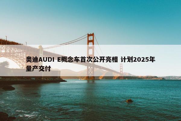 奥迪AUDI E概念车首次公开亮相 计划2025年量产交付