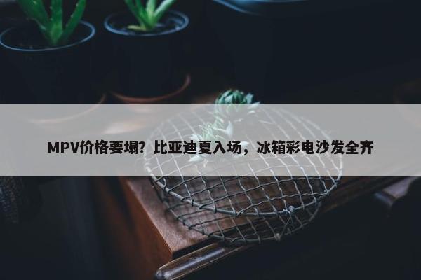 MPV价格要塌？比亚迪夏入场，冰箱彩电沙发全齐