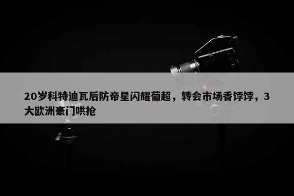 20岁科特迪瓦后防帝星闪耀葡超，转会市场香饽饽，3大欧洲豪门哄抢