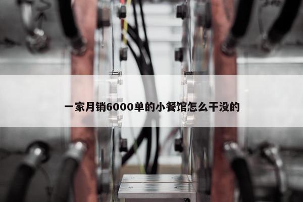 一家月销6000单的小餐馆怎么干没的