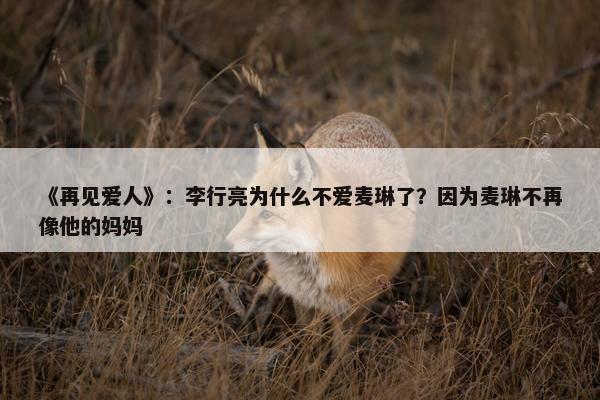 《再见爱人》：李行亮为什么不爱麦琳了？因为麦琳不再像他的妈妈