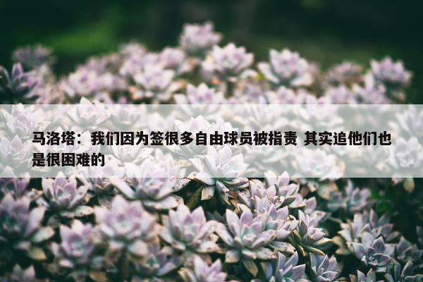 马洛塔：我们因为签很多自由球员被指责 其实追他们也是很困难的