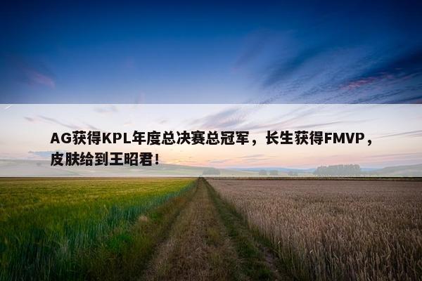 AG获得KPL年度总决赛总冠军，长生获得FMVP，皮肤给到王昭君！