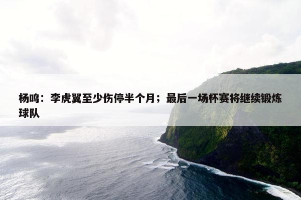 杨鸣：李虎翼至少伤停半个月；最后一场杯赛将继续锻炼球队