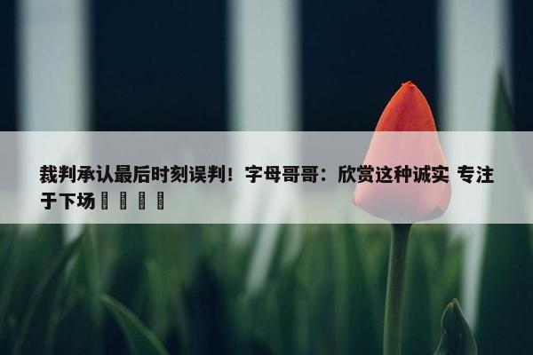 裁判承认最后时刻误判！字母哥哥：欣赏这种诚实 专注于下场🦌