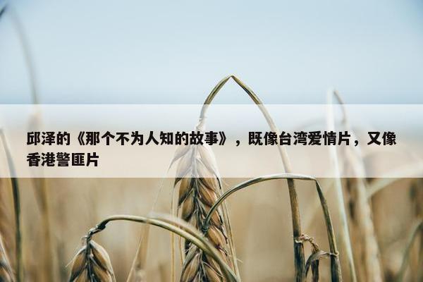 邱泽的《那个不为人知的故事》，既像台湾爱情片，又像香港警匪片