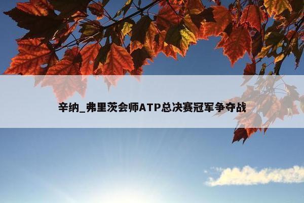 辛纳_弗里茨会师ATP总决赛冠军争夺战