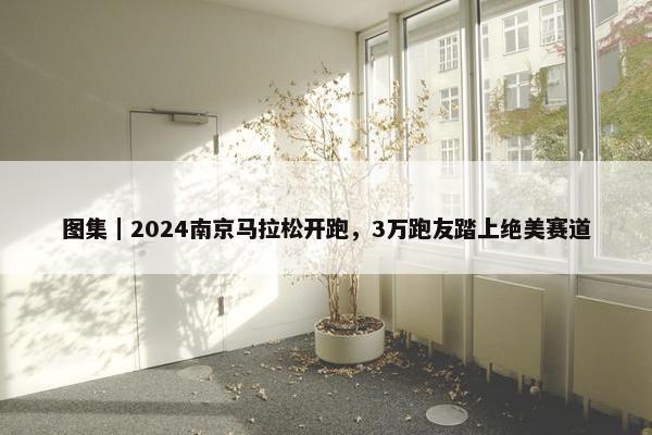 图集｜2024南京马拉松开跑，3万跑友踏上绝美赛道