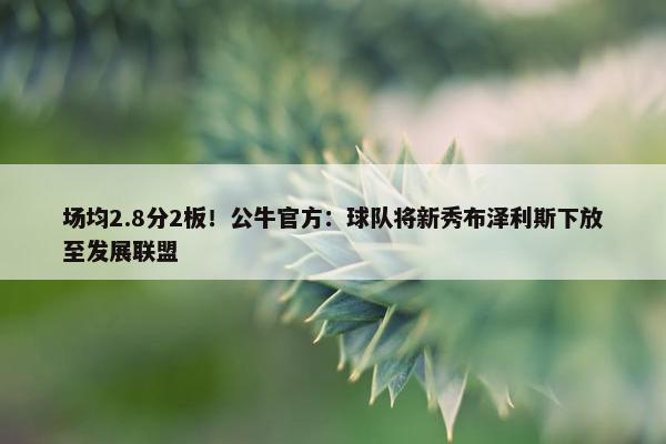 场均2.8分2板！公牛官方：球队将新秀布泽利斯下放至发展联盟