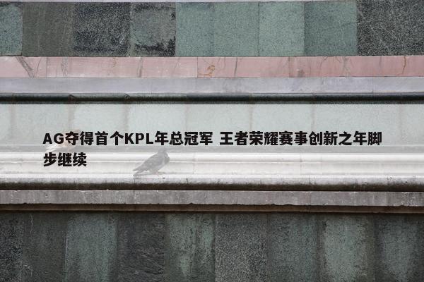 AG夺得首个KPL年总冠军 王者荣耀赛事创新之年脚步继续