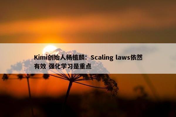 Kimi创始人杨植麟：Scaling laws依然有效 强化学习是重点