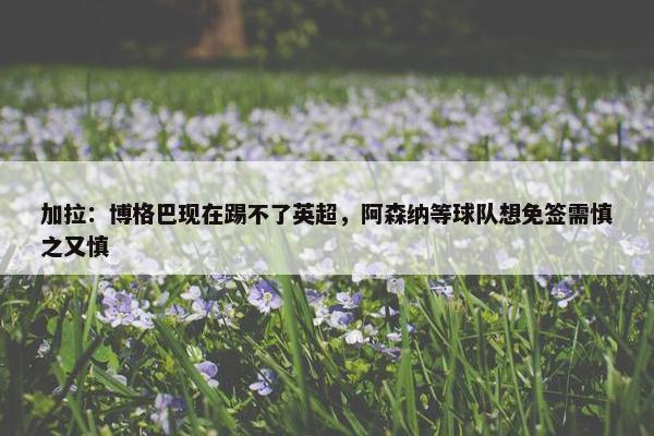 加拉：博格巴现在踢不了英超，阿森纳等球队想免签需慎之又慎