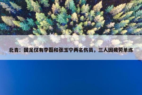 北青：国足仅有李磊和张玉宁两名伤员，三人因疲劳单练