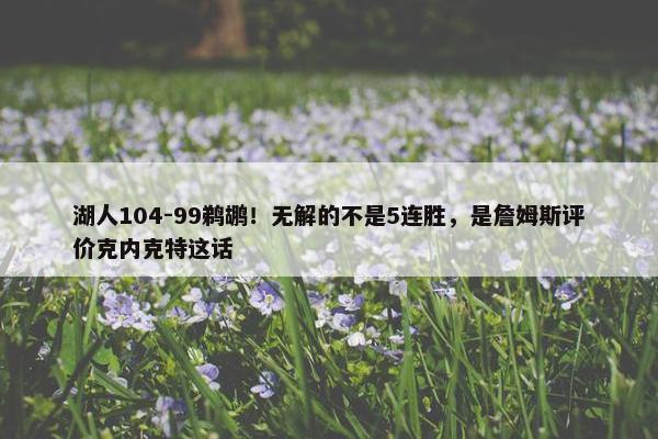 湖人104-99鹈鹕！无解的不是5连胜，是詹姆斯评价克内克特这话