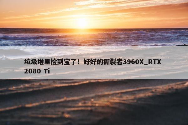 垃圾堆里捡到宝了！好好的撕裂者3960X_RTX 2080 Ti