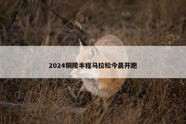 2024铜陵半程马拉松今晨开跑