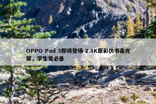 OPPO Pad 3即将登场 2.8K原彩仿书柔光屏，学生党必备