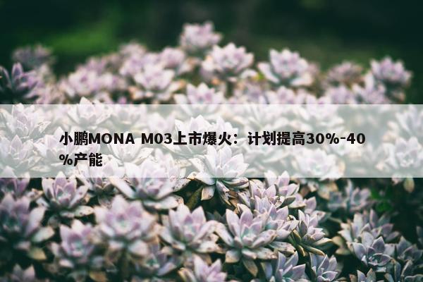 小鹏MONA M03上市爆火：计划提高30%-40%产能